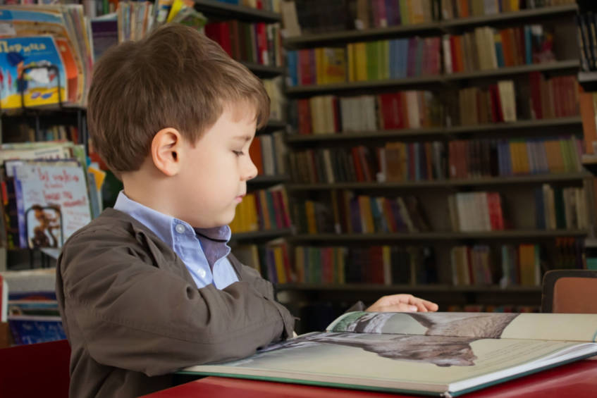 Gestire i Disturbi dell'Apprendimento in Prospettiva Psicopedagogica